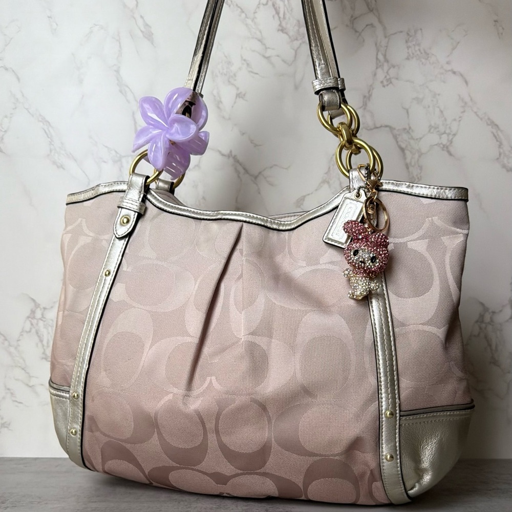 NWOT Ombré Alexandra Coach Signature Shoulder Bag